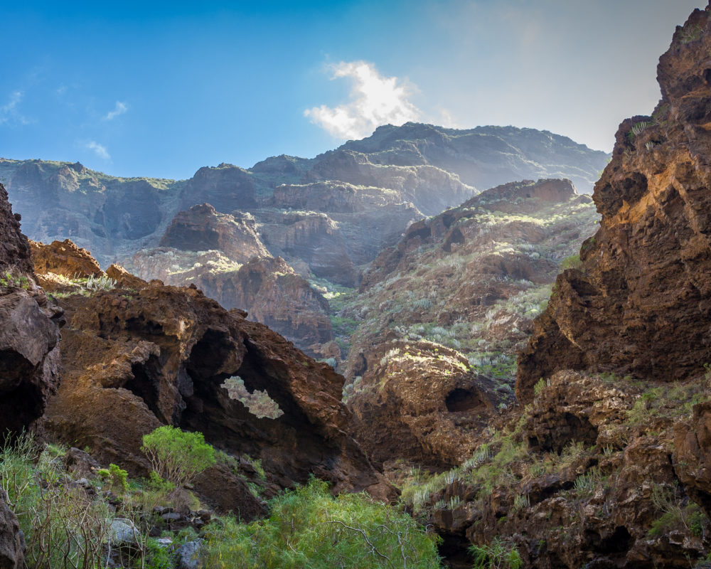 excursion masca tenerife