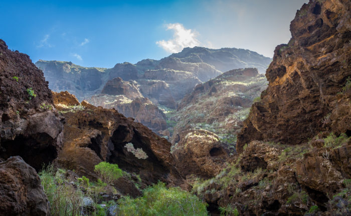 excursion masca tenerife