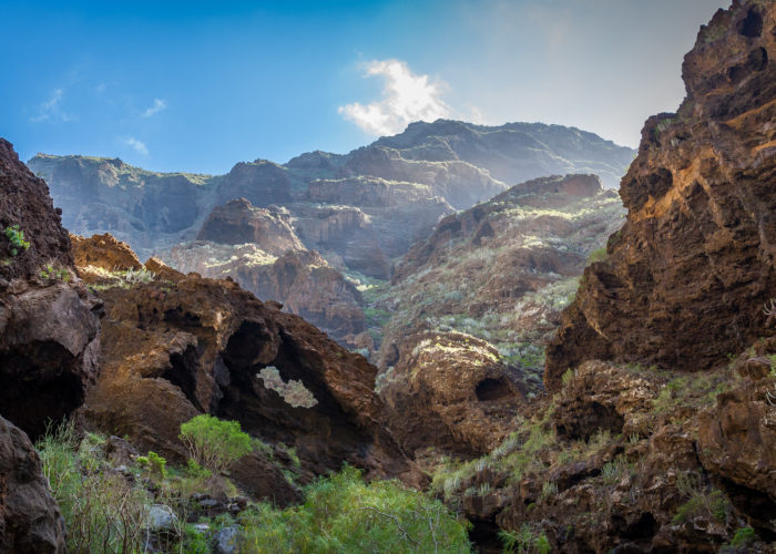 excursion masca tenerife