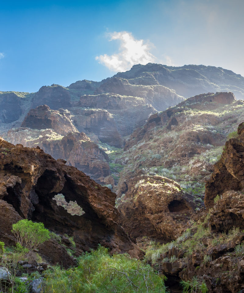 excursion masca tenerife