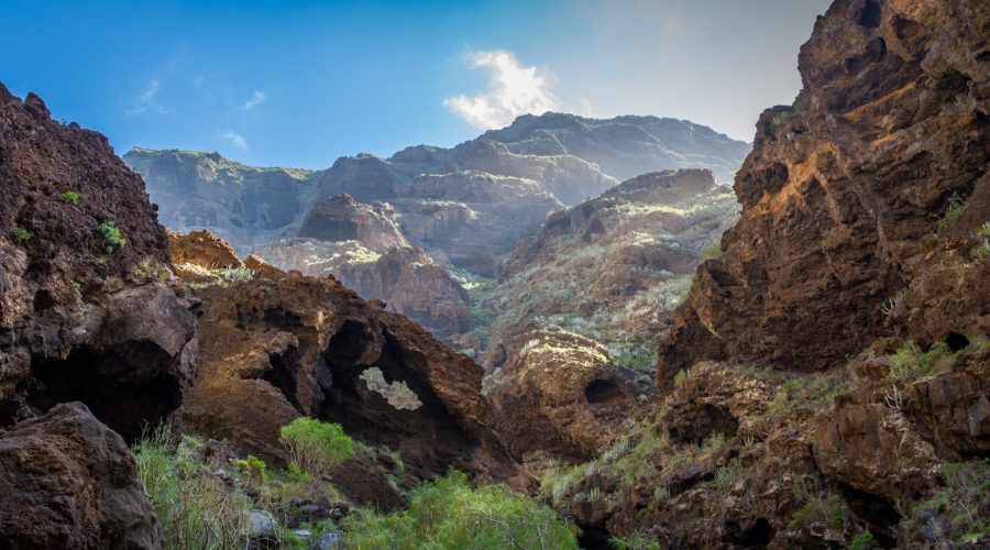 excursion masca tenerife