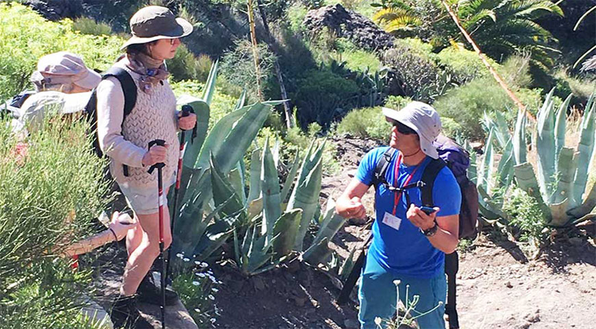 Informacion sobre como llegar a los sendeross del teide senderismo en tenerife con guia oficial