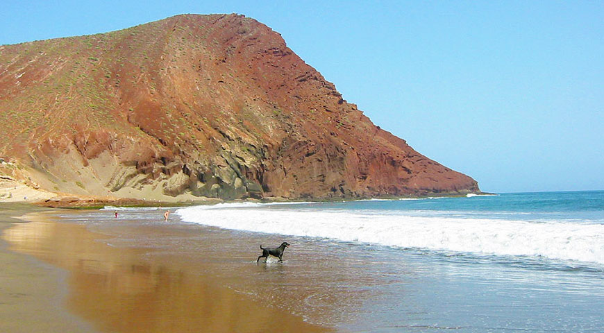playassurdetenerife2 playa el medano