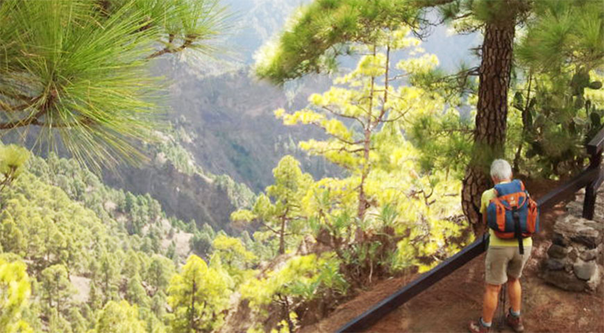 senderos monte tenerife